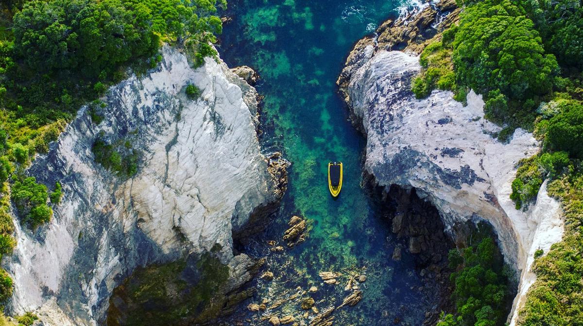 Whitianga: Explore Te Whanganui-A-Hei Marine Reserve on a Two-Hour Cathedral Cove Boat Tour 