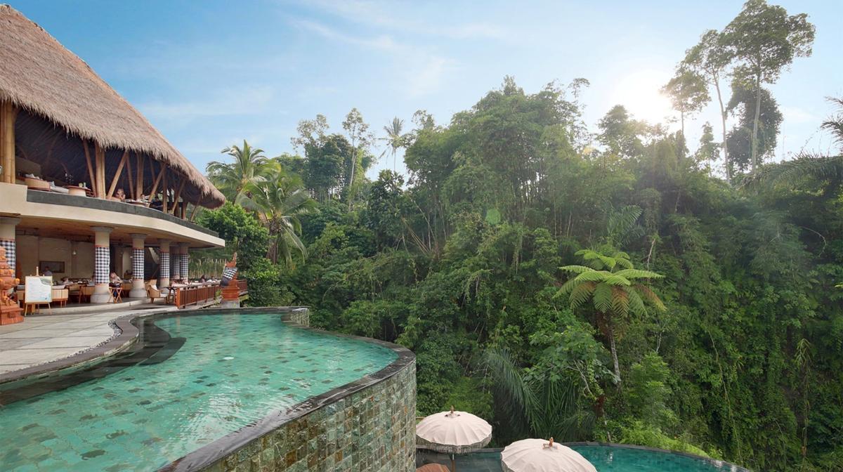 Relaxed Bali Jungle Paradise near Ubud with Daily Breakfast & Daily Lunch or Dinner