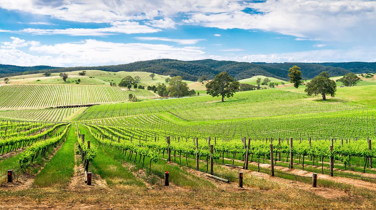 Australia Celebrity Edge Wine Region Cruise: Hobart, Kangaroo Island & Adelaide with Onboard Credit & Five-Star Sydney Stay