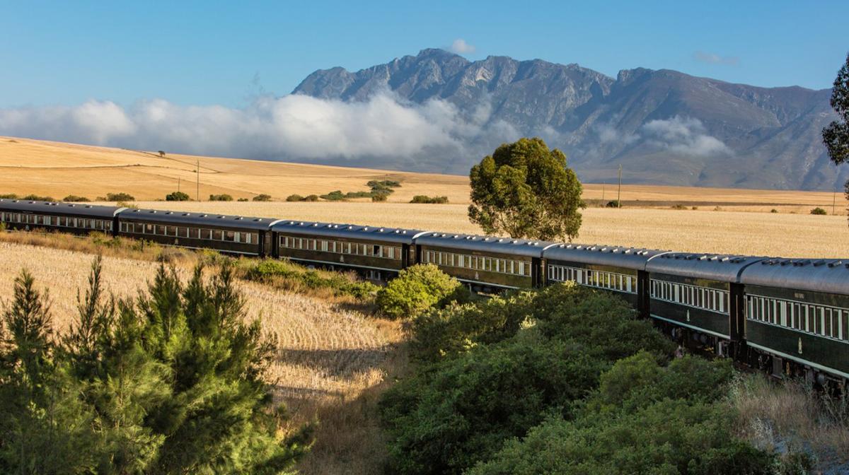 South Africa: Intimate Tour with Rovos Luxury Rail Journey, Sabi Sands Game Safari & All-Inclusive Lodge