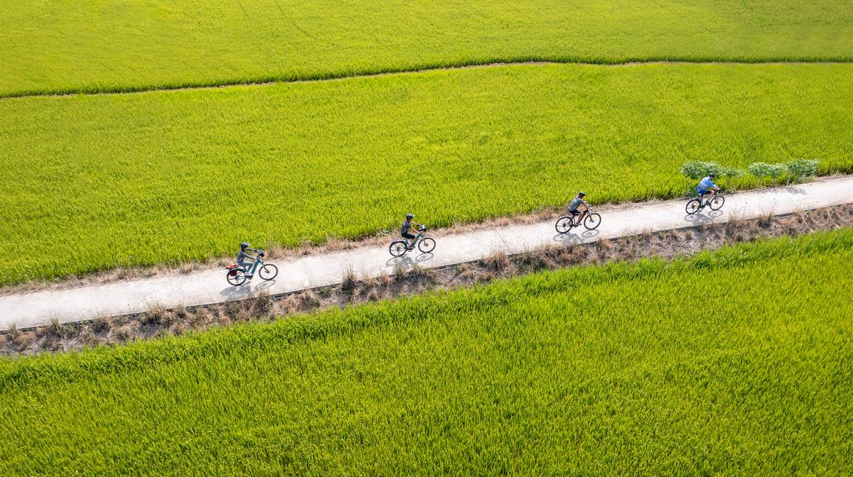 Vietnam Small-Group E-Bike Cycling Tour with Hai Van Pass, Mekong Delta, Hue Imperial City Tour & Culinary Experiences