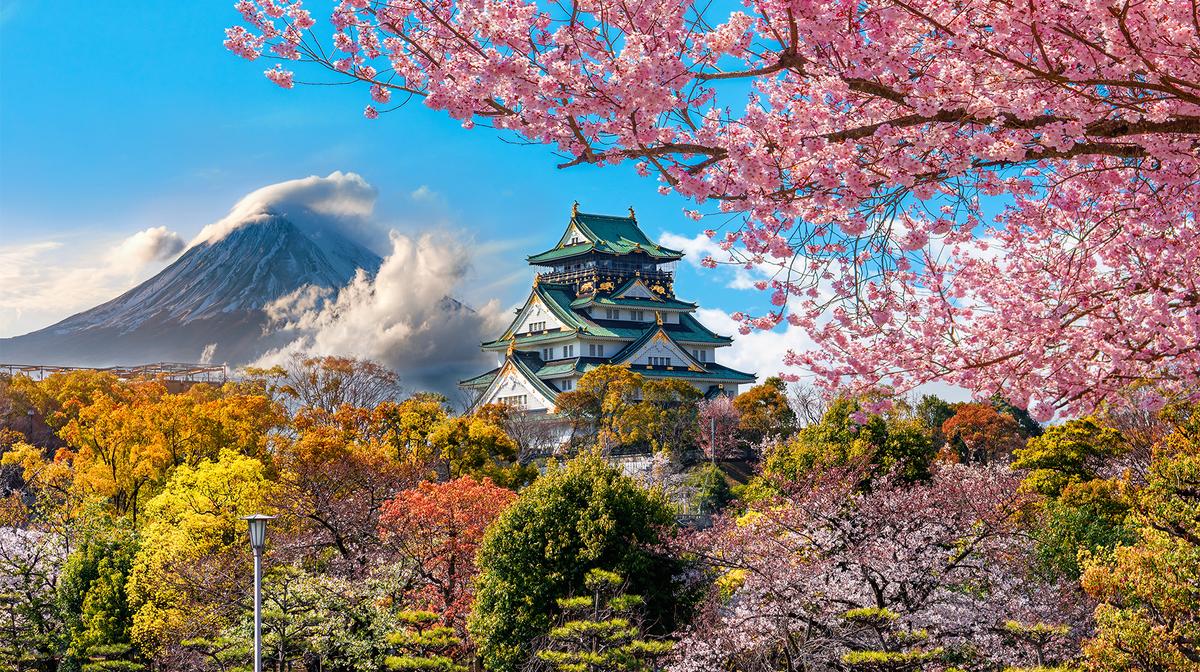 Japan Highlights 2024 Small-Group Tour from Osaka to Tokyo with Guided City Tour, Kyoto Bullet Train & Handpicked Accommodation 