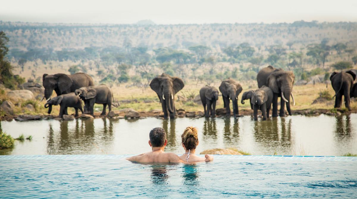 The Great Migration: Kenya & Tanzania Ultra-Lux Safari Tour with Exclusive Eco-Lodge Stays & Big Five Game Drives