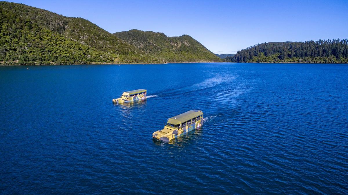 Rotorua: WW2 Landing Craft 'The Duck' City & Lake Tour with Expert Guide & Park Visits 