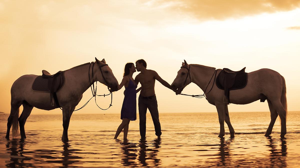 Bali: Horse Riding on the Beach Experience with Coffee Plantation Visit & Return Transfers