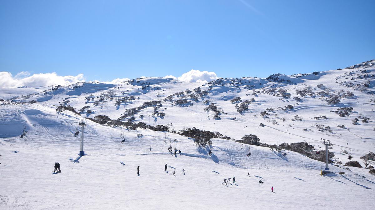Sydney: Full-Day Perisher Ski Resort Visit with Discounted Equipment Hire & Overnight Return Transfers