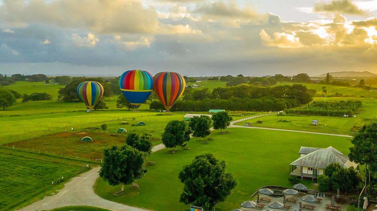 Byron Bay: Sunrise Balloon Flight & Gourmet Breakfast at Three Blue Ducks