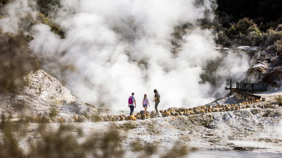 Rotorua: Hell’s Gate Geothermal Walk with Māori Carving, Mud Bath & Sulphur Spa Package 