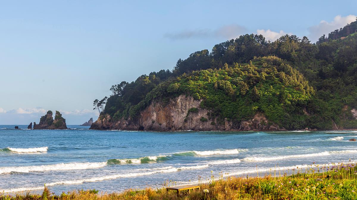 Coromandel Peninsula: 1.5-Hour Small Group Whangamatā Discovery Boat Tour