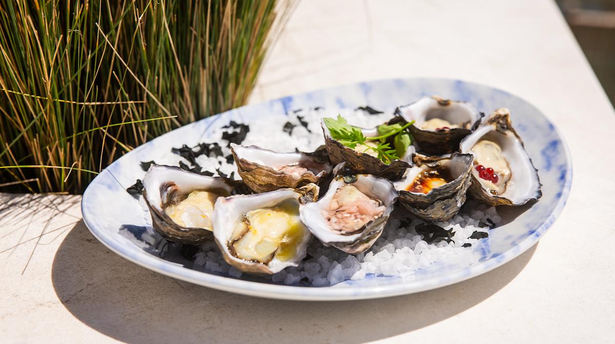Sydney: Shared Meat & Cheese Platter or a Dozen Oysters with Prosecco or Cocktails for Two at Theo's Rooftop Bar in Penrith