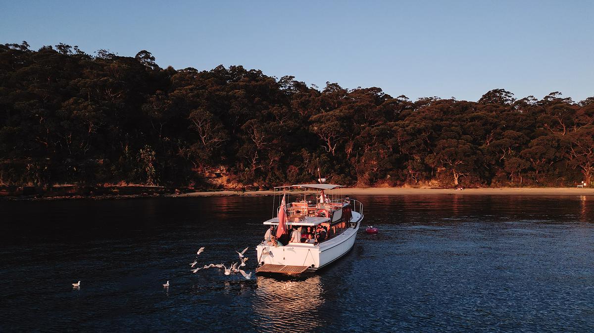 Sydney: Embark on a 90-Minute Sunrise Cruise with Morning Tea or Sunset Cruise with BBQ & Drinks