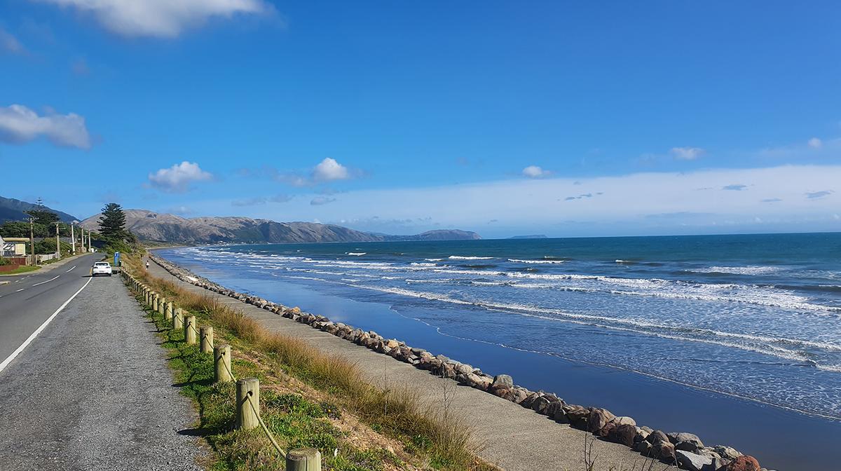 New Zealand: Kapiti Island Full-Day Driving Tour from Wellington with Lunch & Roundtrip Transfers