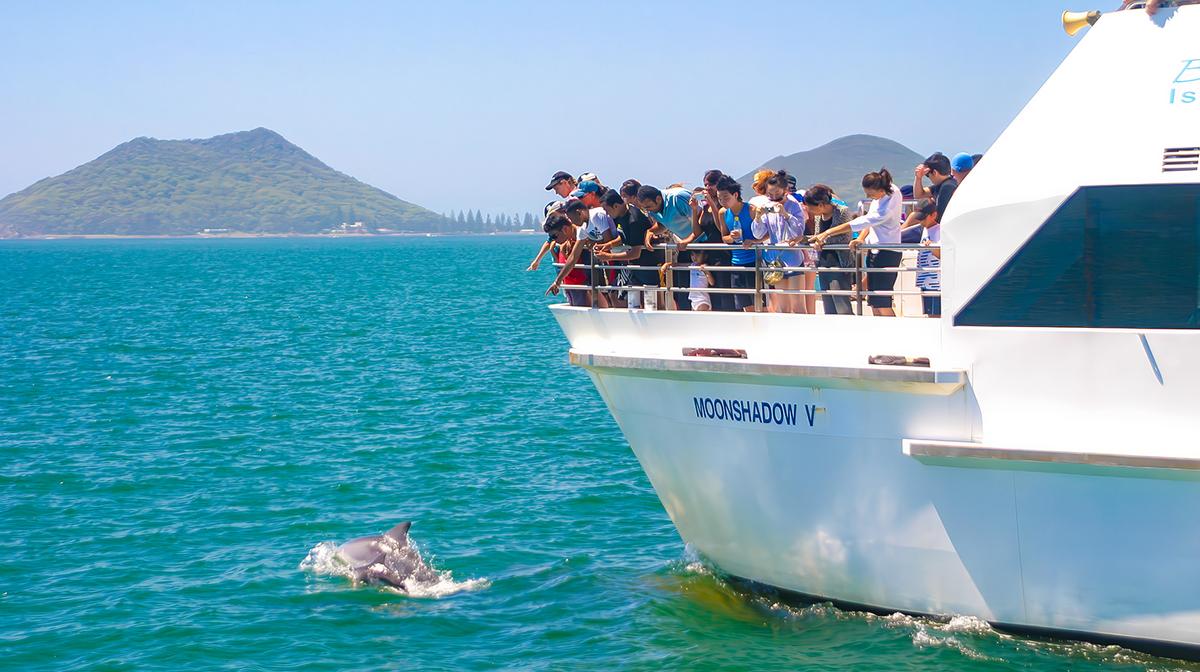 Sydney: Full-Day Port Stephens Tour with Dolphin Cruise & Winery Visit