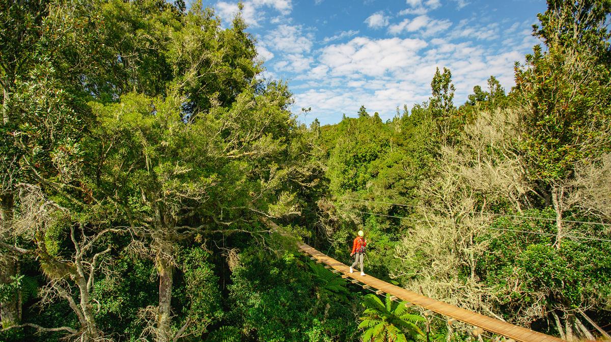 Rotorua: 2.5-Hour Zipline Adventure over Ōkere Falls & 2.5-Hour Lake Rotoiti Hot Pools Experience