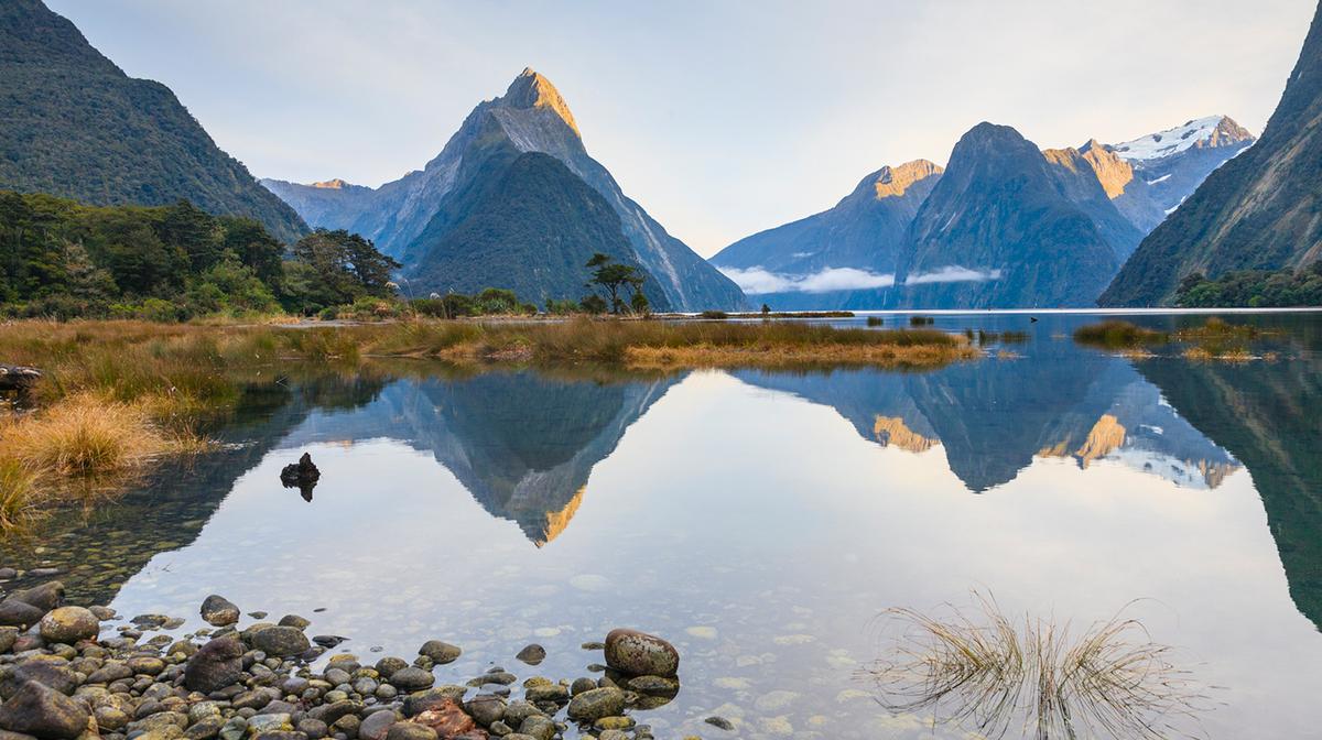 Queenstown: Full-Day Milford Sound Scenic Tour with Two-Hour Boat Cruise, Experienced Guide & Return Transfers