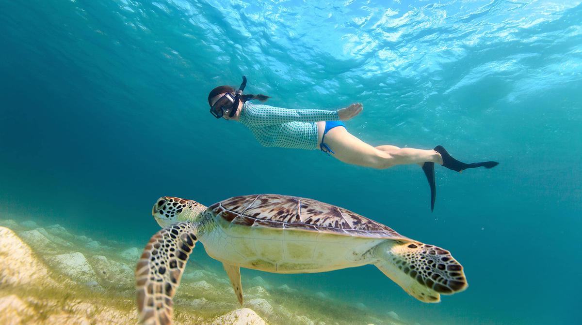 Full-Day Snorkelling Tour to Tanjung Jepun & Blue Lagoon with Lunch & Transfers