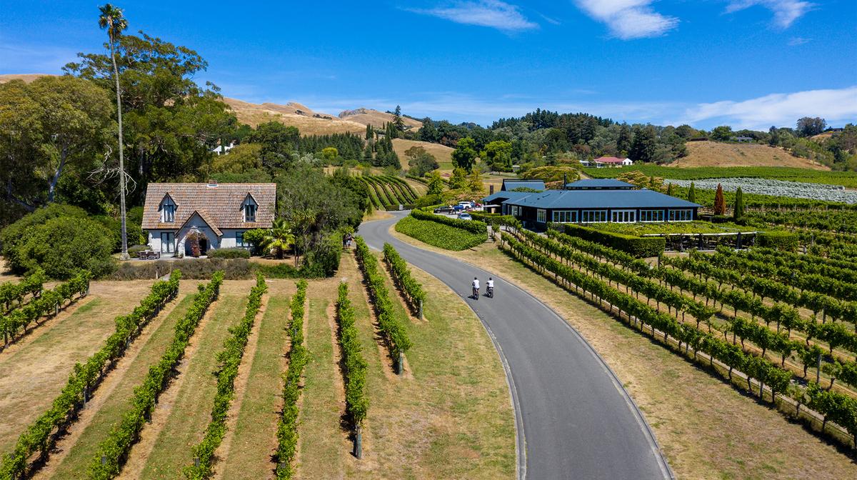 New Zealand Small-Group E-Bike Tour with North Island Cellar Door Experiences