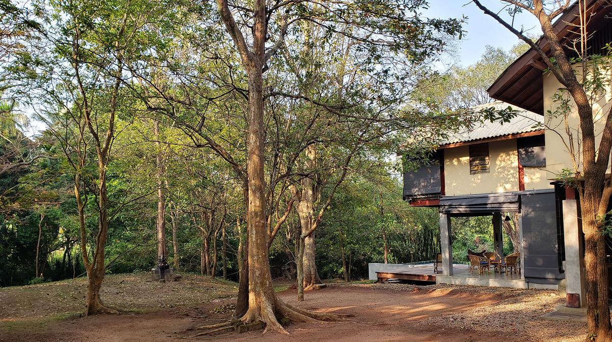 Sri Lanka Luxury Eco Villa Near Dambulla Cave Temple