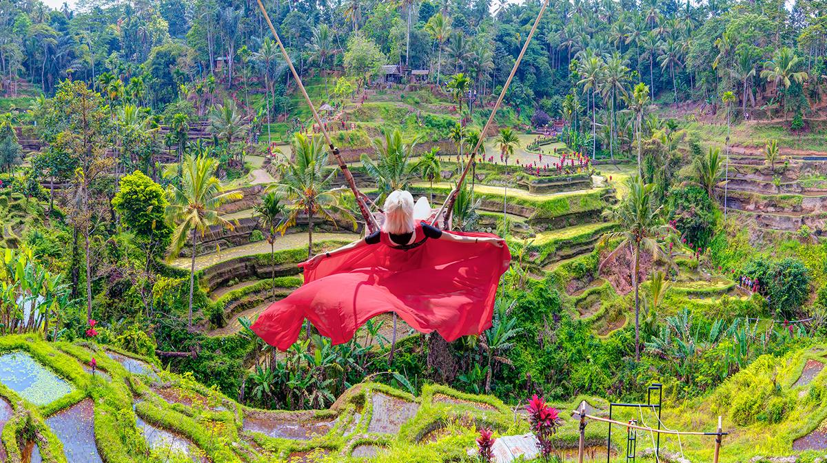 Bali: Full-Day Tegalalang Adventure with Coffee Tour, Ziplining, Jungle Swing & Lunch