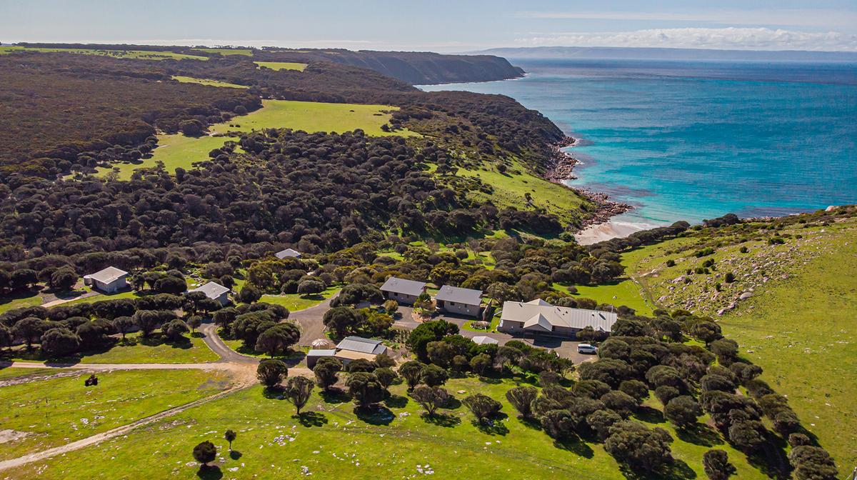 Kangaroo Island Oceanfront Escape with Two Island Tours, Daily Breakfast & Nightly Two-Course Dinner with Drinks