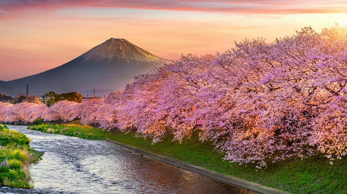 Ultimate Japan 2024 Small-Group Tour with Mount Fuji Stay & Kyoto to Hiroshima Bullet Train