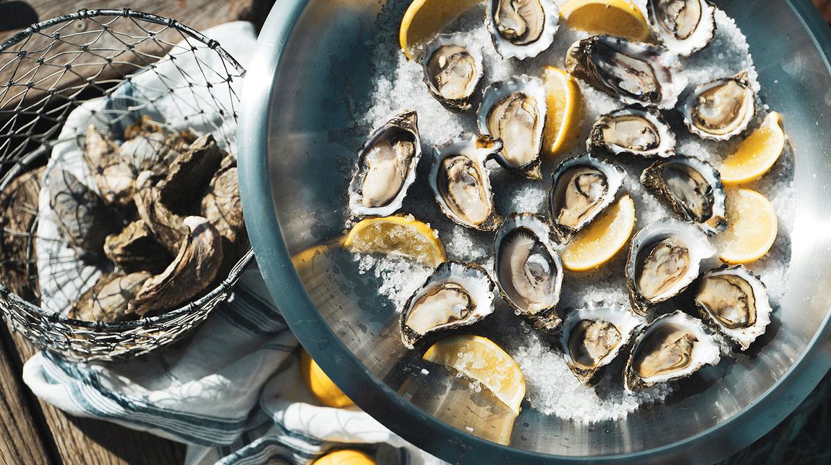Sydney: 90-Minute Sydney Oyster Farm Boat Tour with Fresh Oyster Tasting