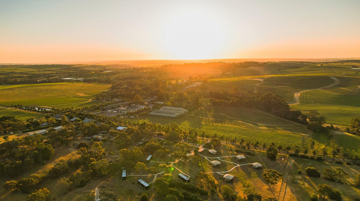 Grand Opening: Barossa Valley Luxurious Adults-Only Eco-Cabins Steps from Seppeltsfield Winery with Private Sauna