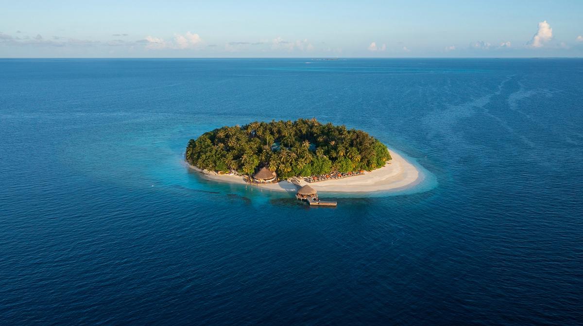 Maldives Five-Star Boutique Island Paradise with PADI Dive Centre & Ranamaari Shipwreck