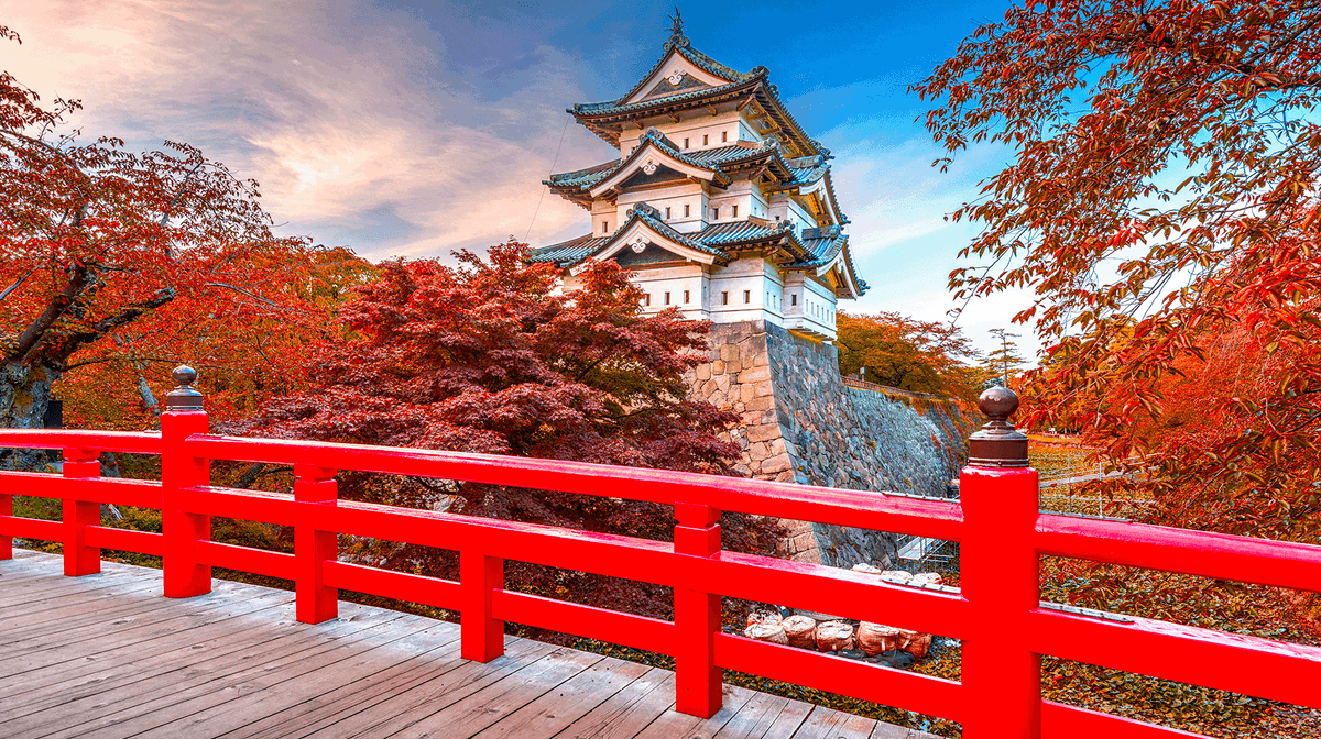 Northern Japan Small-Group Tour with Sapporo, Hakodate, Sake Tasting & Bullet Train Transfers