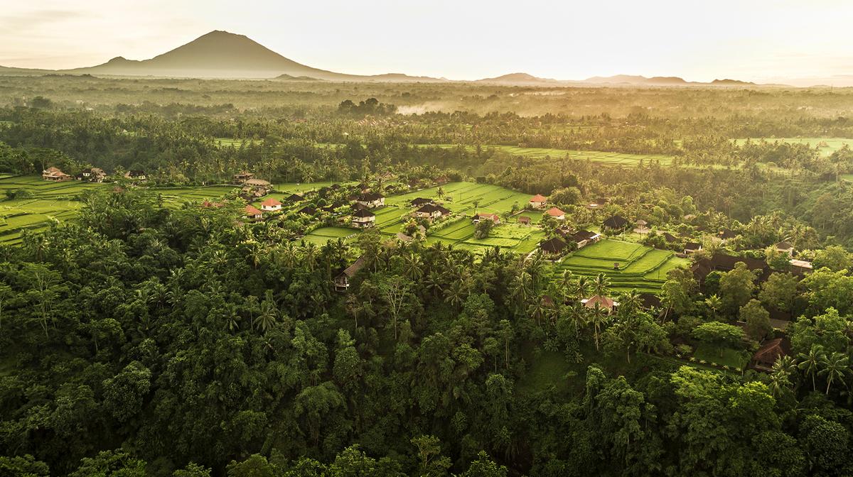 Ubud Five-Star Jungle Haven with Italian-Inspired Dining