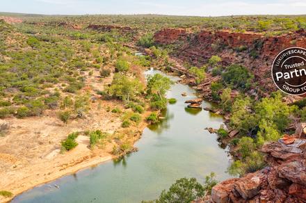 Western Australia: 5-Day Tour from Fremantle to Perth with Monkey Mia Dolphins