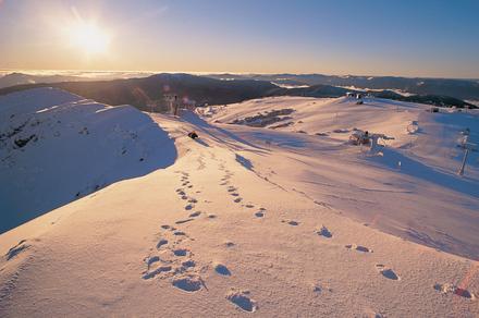 Mount Buller's #1 Ski Resort Stay with Daily Breakfast