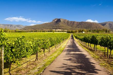 Romantic Hunter Valley Escape Minutes' Walk from Top Wineries