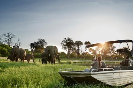 Botswana: 9-Day Luxury Small-Group Safari with All-Inclusive Stays, Victoria Falls Helicopter Flight & Wildlife Encounters