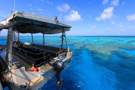 Great Barrier Reef: 7-Night All-Inclusive Expedition Cruise to Remote Reefs with Pre-Cruise Hotel Stay & Scenic Helicopter Flight