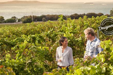 Port Lincoln & Coffin Bay: 5-Day Small-Group Gourmet Tour with Oyster Shucking & Wine Tastings