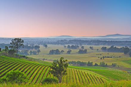 European Elegance in the Hunter Valley with Wine & Cheese Tastings