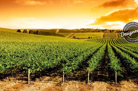South Australia: 4-Day Small-Group Gourmet Tour with Private Wine Tastings & All-Inclusive Luxury Outback Stay