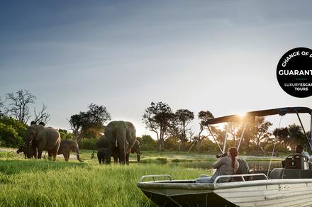 Botswana: 9-Day Luxury Small-Group Safari with All-Inclusive Stays, Victoria Falls Helicopter Flight & Wildlife Encounters