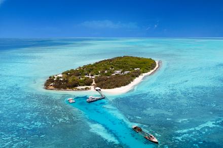 The Ultimate Great Barrier Reef Escape with Dining and Marine-Life Discovery Experiences