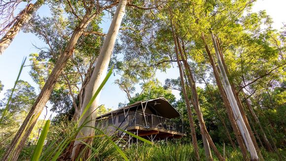 Laidback Vineyard Glamping Retreat near Brisbane with Daily Breakfast & Cellar Door Wine Tasting