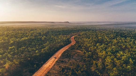 Tropical North Queensland: 8-Day Luxury Small-Group Tour with Low Isles Cruise, Daintree Visit & Indigenous Experiences