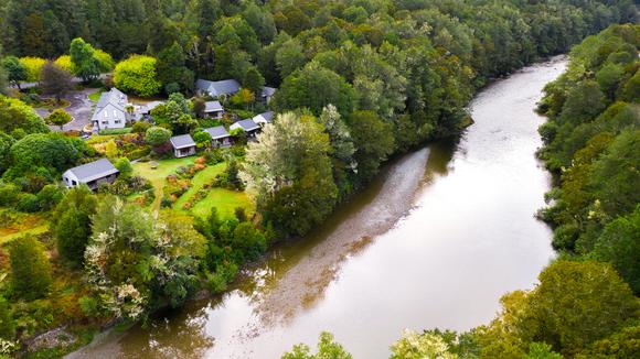 Secluded South Island Wellness Retreat with Daily Breakfast & Unique Forest Bathing Experience