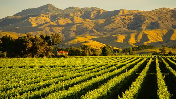 Marlborough Sounds: 6-Day Luxury Small-Group Wine Tour with Decadent Dining, Scenic Cruises & Five-Star Luxe Stay