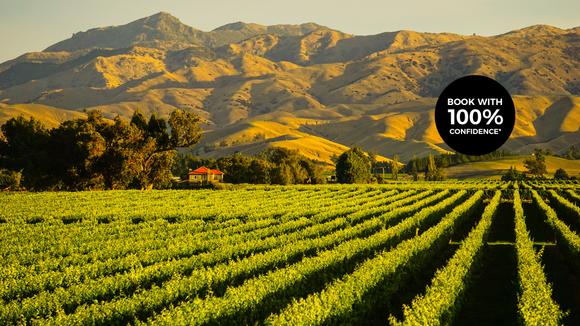 Marlborough Sounds: 6-Day Luxury Small-Group Wine Tour with Decadent Dining, Scenic Cruises & Five-Star Luxe Stay