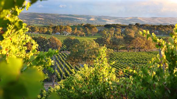 Romantic Getaway near the McLaren Vale Wine Region