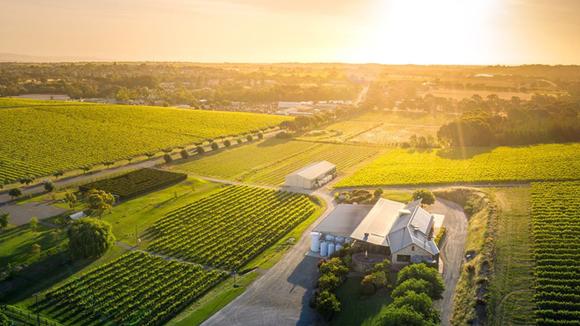 McLaren Vale: Maxwell Wines Chef-Hatted Dining Experience with Champagne, Canapés, Multi-Course Dinner & Paired Wines