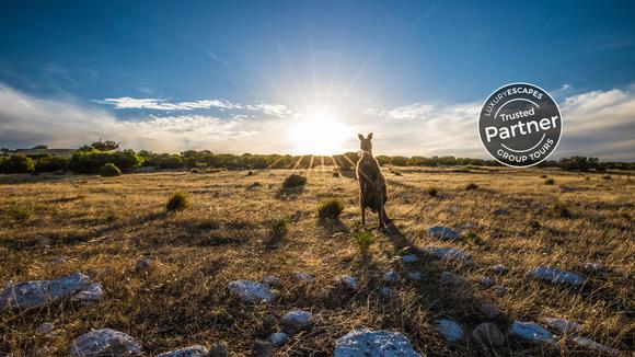 South Australia 2021: 6-Day Small-Group Tour of Flinders Ranges & Kangaroo Island with Wilpena Pound Scenic Flight