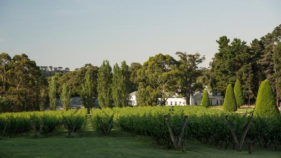 Award-Winning Mornington Peninsula Escape with A$100 Drinks & Dining Credit