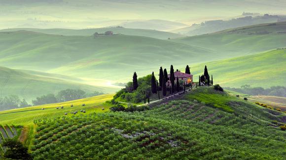 Idyllic Italian Country Escape with Wine & Olive Tasting, Walking Tour of Florence and Daily Breakfast 